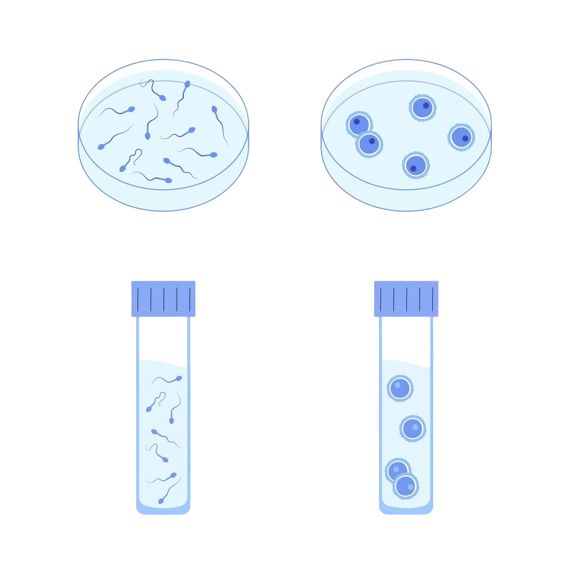 s-category